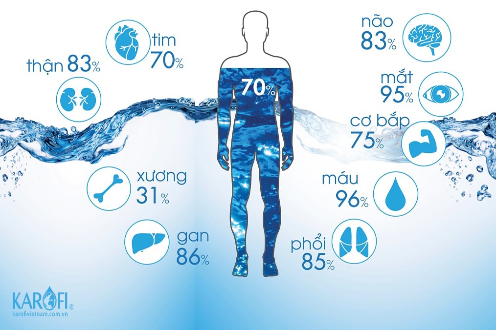 Tầm quan trọng của nước uống đối với cơ thể