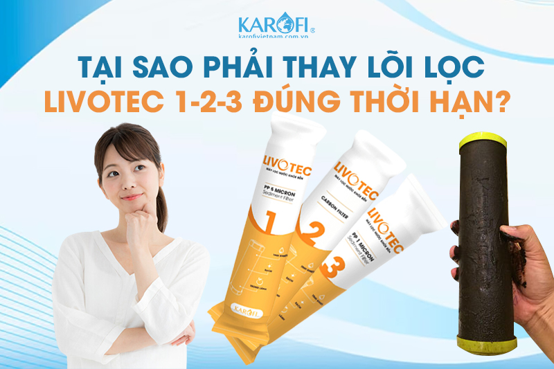 việc thay lõi lọc 1-2-3 Karofi Livotec định kỳ sẽ giúp gia đình bạn tiết kiệm chi phí 