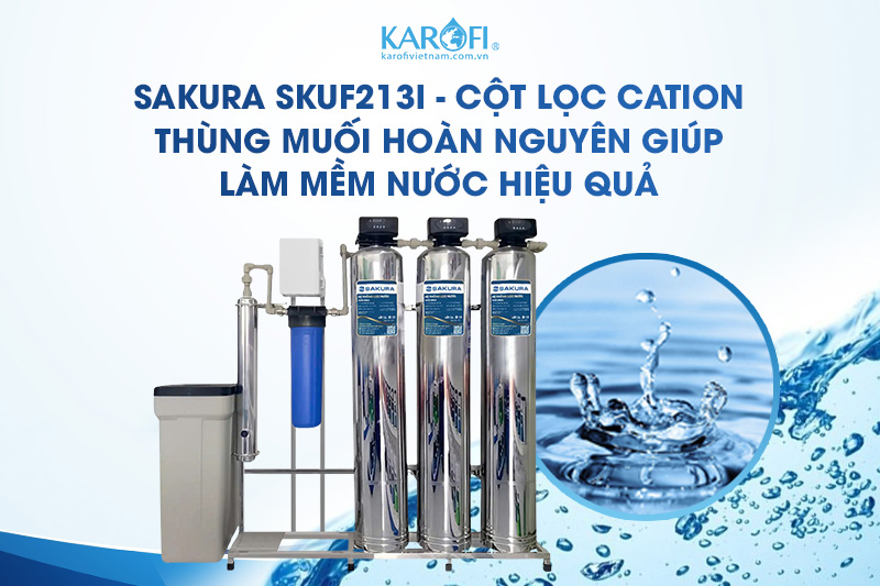 Cột lọc Cation kết hợp với muối hoàn nguyên làm mềm nước hiệu quả 