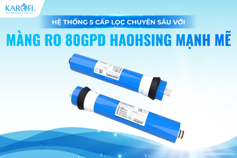 Hệ thống 5 cấp lọc chuy&ecirc;n s&acirc;u với m&agrave;ng RO 80GPD Haohsing mạnh mẽ