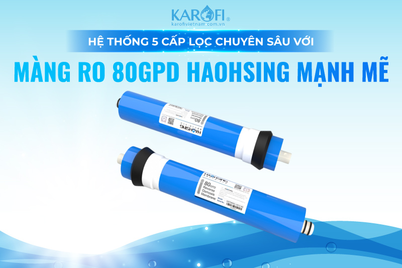 Hệ thống 5 cấp lọc chuy&ecirc;n s&acirc;u với m&agrave;ng RO 80GPD Haohsing mạnh mẽ