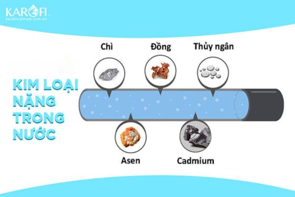 Trong nước giếng đào bị đục có chứa nhiều kim loại nặng