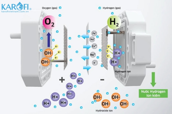 Chất lượng tấm điện cực quyết định khả năng tạo hydrogen