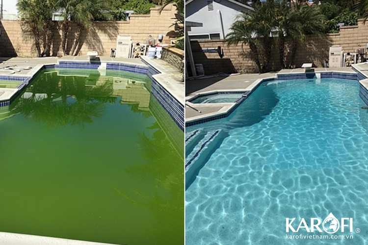 Nguyên nhân khiến nước bể bơi bị đục