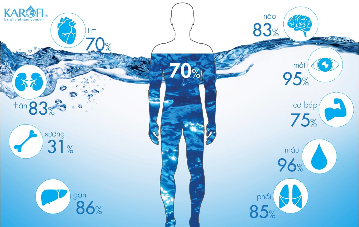 Vai trò của nước đối với cơ thể