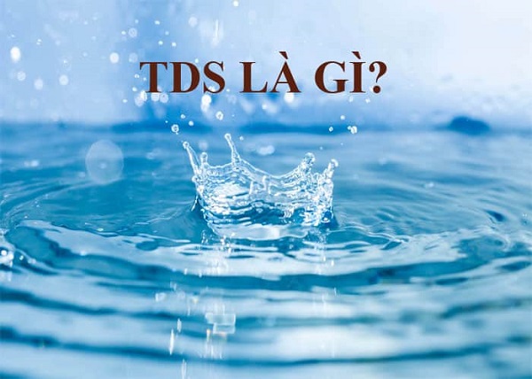TDS là gì
