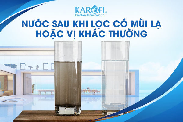  nước sau khi lọc có mùi lạ hoặc vị khác thường