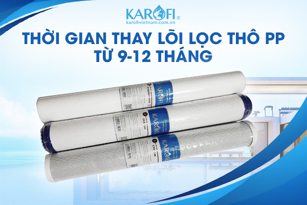 Lõi lọc thô thường được sử dụng để loại bỏ các tạp chất 