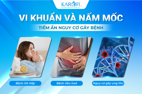 Vi khuẩn và nấm mốc gây mùi lạ khó chịu cho nguồn nước trong máy lọc