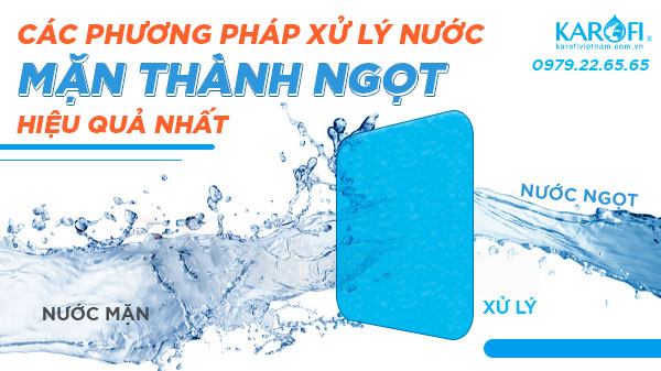 Các Phương Pháp Xử Lý Nước Mặn Thành Nước Ngọt Hiệu Quả (P1)