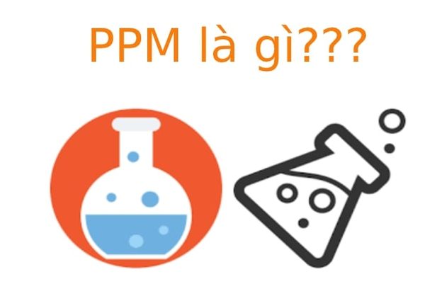 Làm thế nào để đo đạt chỉ số PPM trong nước?
