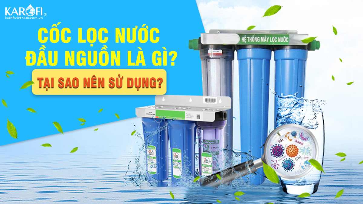 Cốc Lọc Nước Đầu Nguồn Là Gì? Tại Sao Nên Sử Dụng